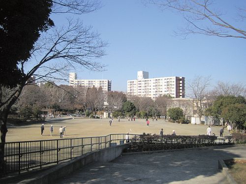 野庭中央公園