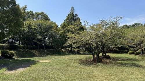 舞岡公園こぶし広場