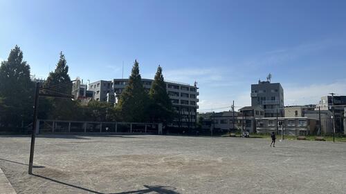 港南ふれあい公園