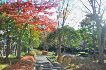 久良岐公園の写真