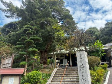 浄念寺の写真