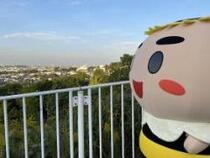 83 Taro climbs a slope in front of the Konandai Tsuzukiri no Oka Park