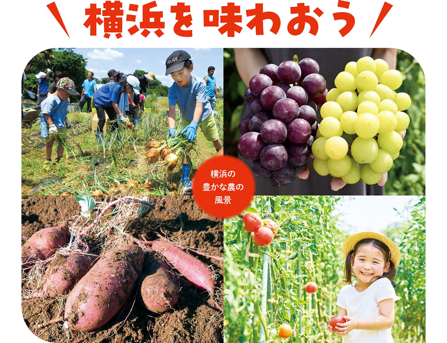 農が近い暮らしを市民のみなさまに 横浜農場