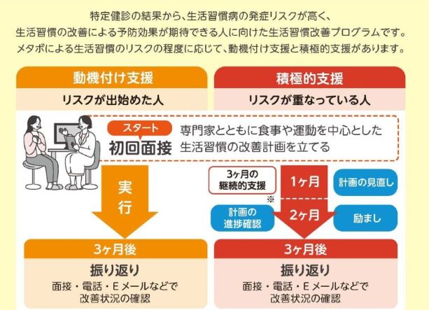 特定保健指導の流れ