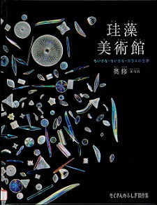 『珪藻美術館』の表紙画像