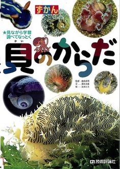 『ずかん貝のからだ』の表示画像