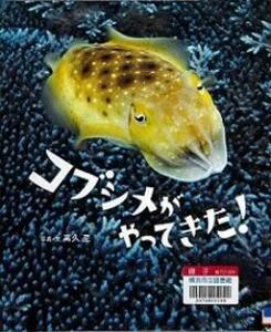 『コブシメがやってきた！』の表示画像
