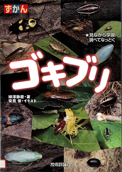 『ずかんゴキブリ』の表示画像
