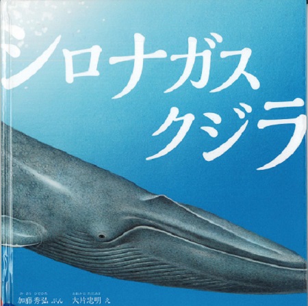 『シロナガスクジラ』の表示画像