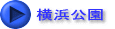 横浜公園