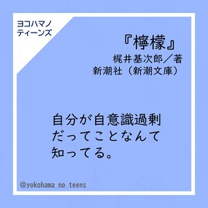 本の紹介文