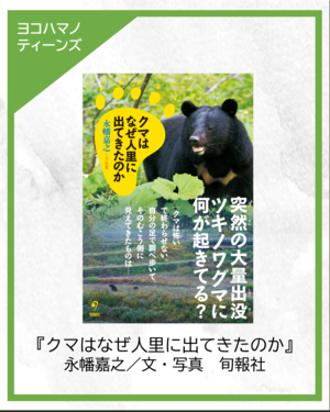 表紙の画像