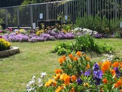 ４月オープンガーデン写真１