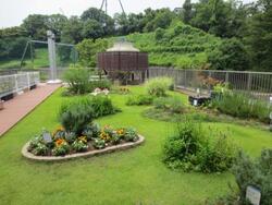 ６月植え込み写真1