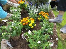 ６月植え込み写真2