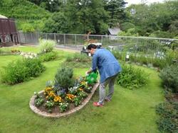 ６月植え込み写真3