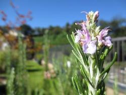 活動記録写真16