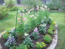 グリーン活動記録画像17