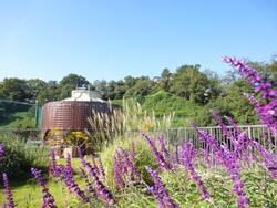 グリーン活動記録画像19