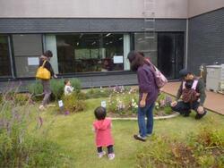 グリーンボランティア活動写真１１月3