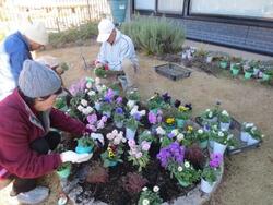 グリーンボランティア活動写真２４