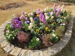 グリーンボランティア活動写真26