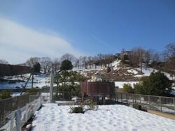 グリーンボランティア活動写真２7