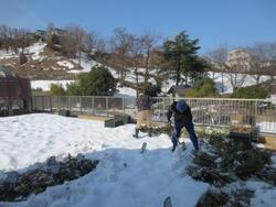 グリーンボランティア活動写真２8