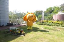 春のオープンガーデン「あさひくんの庭」