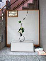 Hình ảnh Ikebana ngày 4 tháng 4 năm 2018
