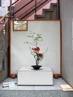 Ikebana Tháng 5 năm 2018/1 ảnh