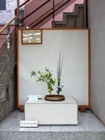 Hình ảnh Ikebana tháng 6 năm 2018/3