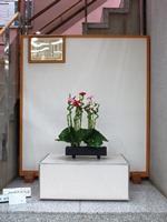 Photographs of Ikebana June 4, 2018