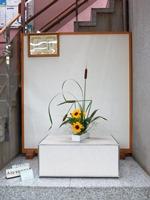 Photographs of Ikebana August 3, 2018