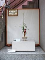 Photographs of Ikebana August 4, 2018