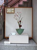 Photographs of Ikebana September 4, 2018