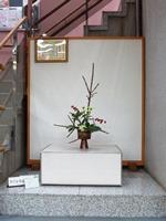Hình ảnh Ikebana tháng 11 năm 2018