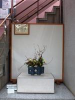 Hình ảnh Ikebana tháng 12 năm 2018