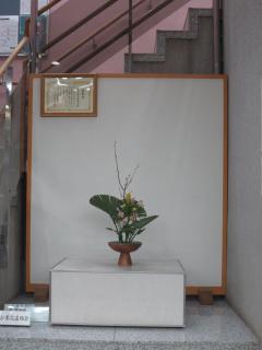 Photographs of Ikebana February 2, 2019