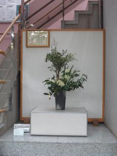 Photographs of Ikebana February 3, 2019
