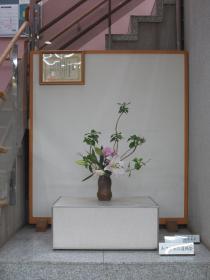 Ikebana Photographs of April to June 2019