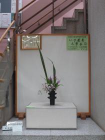 Photographs of Ikebana from April to June, 2019