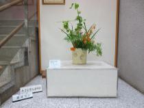 รูปการจัดดอกไม้แบบญี่ปุ่นของเดือน 7~9 1 ปี 2020