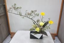 Photographs of Ikebana October to December, 2020