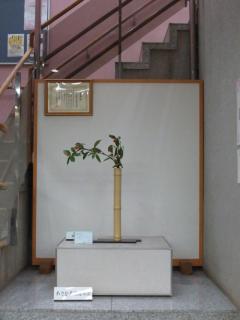 Photographs of Ikebana (January to March 1, 2020)