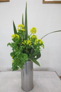 生け花2025年3月の写真