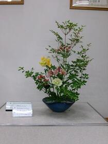 生け花2025年5月の写真