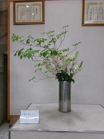 生け花2025年5月の写真