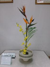 生け花2025年6月の写真