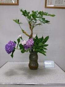 生け花2025年6月の写真